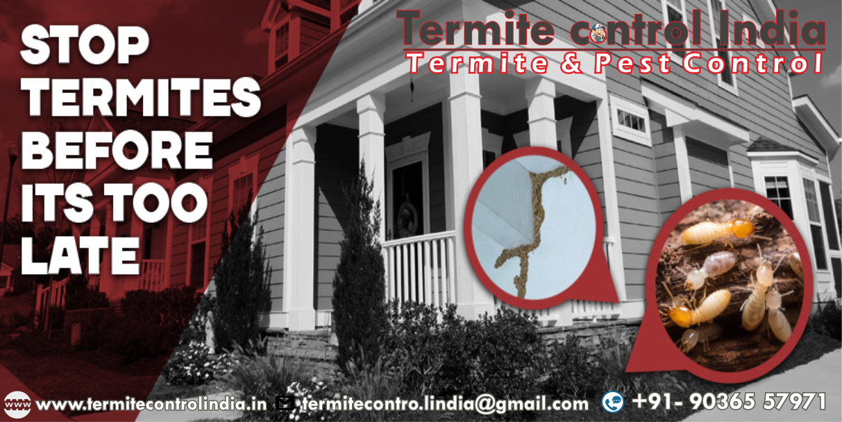 termite banner 2