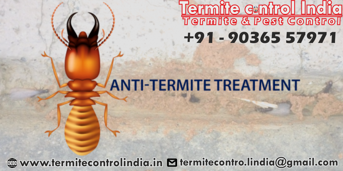 termite banner 4
